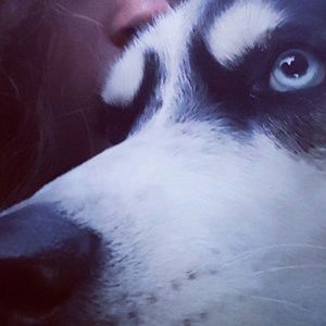 Meet your Posher, Veronica